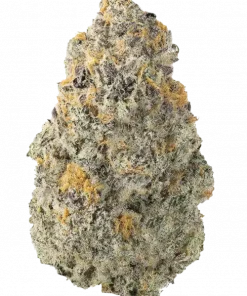 Moroccan Pi’nana Z, tatlı şeftali aroması ve rahatlatıcı etkileriyle öne çıkan dengeli bir türdür. Yüksek verim potansiyeliyle Moroccan Pi'nana Z'yi keşfedin.