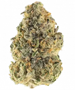 Mother’s Finest, tatlı ve ekşi aromaları ile öne çıkan sativa türüdür. Enerji veren yapısıyla bilinir. Genetik özelliklerini ve potansiyel faydalarını keşfedin.