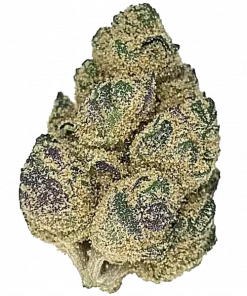 Mother's Milk, kimyasal limon aroması ve THC ile öne çıkan sativa baskın türdür. Rahatlatıcı etkisini keşfedin ve genetik yapısını inceleyin.