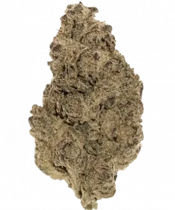 Motor Island, yakıtımsı ve topraksı aromalarıyla öne çıkan Indica dominant bir türdür. Rahatlatıcı etkileriyle bilinen bu türün genetik yapısını keşfedin.