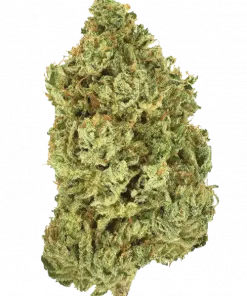 Mountaintop Mint, keskin nane aroması ve yüksek THC içeriğiyle bilinen dengeli bir hibrit türdür. Stres giderme potansiyelini keşfedin ve genetik yapısını görüntüleyin.