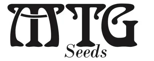 MTG Seeds