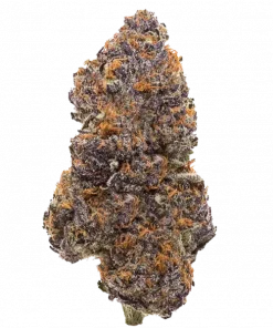 Mystic Marker, çiçeksi aroması ve yüksek THC içeriğiyle öne çıkan dengeli bir hibrit türdür. Canlandırıcı etkilerini ve eşsiz lezzetini keşfedin.