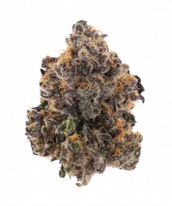 Neon Nights, böğürtlen aroması ve yüksek THC içeriğiyle öne çıkan Indica baskın bir türdür. Uykusuzluk ve stres için ideal. Genetik yapısını keşfedin.