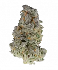 Neon Runtz, sert yakıtımsı aroması ve 'luk THC içeriğiyle bilinen Indica dominant bir türdür. Depresyon ve ağrı için ideal. Etkilerini keşfedin.