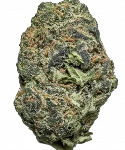 Nerds, benzersiz narenciye aroması ve dengeli etkisiyle öne çıkan bir hibrit türdür. Strawberry Cough ve Grape Ape genetiğini keşfedin. Hemen görüntüleyin.