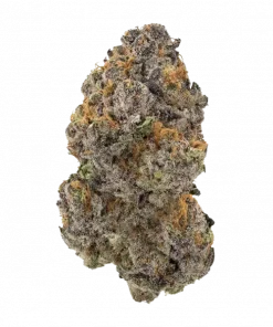 Neskuik, tatlı kuruyemiş aromaları ve THC ile öne çıkan Indica dominant bir türdür. Derin rahatlama ve uyku için ideal. Özelliklerini keşfedin.