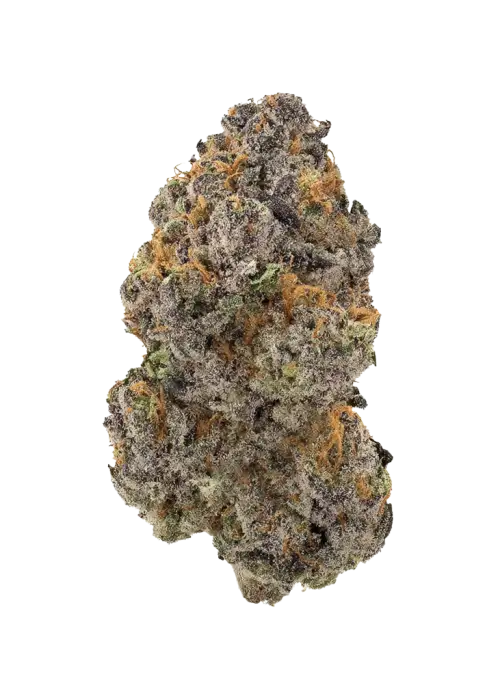 Neskuik, tatlı kuruyemiş aromaları ve THC ile öne çıkan Indica dominant bir türdür. Derin rahatlama ve uyku için ideal. Özelliklerini keşfedin.