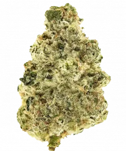 Nevil's Wreck, kimyasal limon aroması ve yüksek THC içeriğiyle bilinen Sativa baskın bir türdür. Enerjik etkilerini ve genetik yapısını keşfedin.