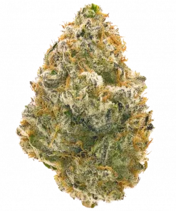 New Glue (GG5), benzin kokusu ve çikolata aromalarıyla öne çıkan indica dominant bir türdür. Uykusuzluk ve ağrı için ideal. Etkilerini keşfedin.