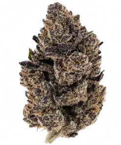 Nightshade, tatlı orman meyveleri aroması ve THC oranıyla öne çıkan Indica baskın bir türdür. Etkilerini ve faydalarını keşfedin.