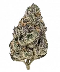 Nimbus Snacks, tatlı ve nanemsi aromalarıyla öne çıkan Sativa baskın bir türdür. Yüksek THC içeriği ile dikkat çeker. Genetik yapısını keşfedin ve etkilerini görüntüleyin.