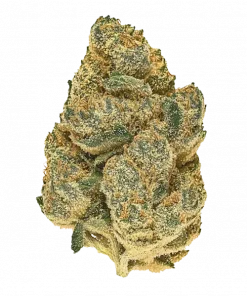 Nishi, tatlı turunçgil aromaları ve rahatlatıcı etkileriyle bilinen Indica dominant bir türdür. Uykusuzluk ve stres için ideal. Genetik yapısını keşfedin.