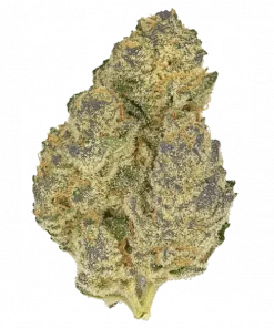 Umami No Assist, yakıtımsı aroması ve THC ile öne çıkan Indica dominant türdür. Stres ve uykusuzluğa iyi gelir. Etkilerini keşfetmek için tıklayın!