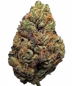 Northern Lights, keskin aroması ve yüksek THC içeriğiyle bilinen bir Indica türüdür. Kısa sürede çiçeklenir ve güçlü etkilere sahiptir. Özelliklerini keşfedin.