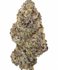 Northern Lights #5, toprak ve çam aromalı, yüksek THC'li bir Indica türüdür. Derin rahatlama ve uyku için ideal. Genetik yapısını keşfedin.