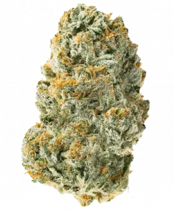 Nova OG, yüksek THC içeriği ve rahatlatıcı etkisiyle bilinen Indica dominant bir türdür. Tatlı aroması ve güçlü etkileriyle öne çıkar. Keşfedin.