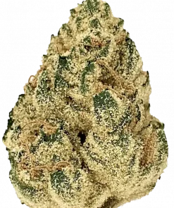 Novarine, turunçgil ve çam aromalı, enerji verici bir Indica baskın türüdür. Kronik yorgunluk için ideal. Genetik yapısını keşfedin.