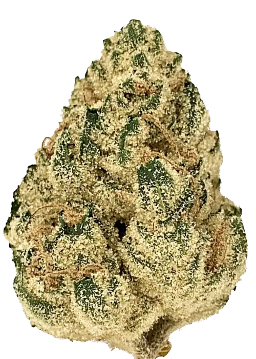 Novarine, turunçgil ve çam aromalı, enerji verici bir Indica baskın türüdür. Kronik yorgunluk için ideal. Genetik yapısını keşfedin.