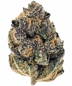 Now and Later, yakıtımsı ve narenciye aromalarıyla öne çıkan dengeli bir hibrit türdür. Yüksek THC içeriğiyle hem zihni hem bedeni rahatlatır. Etkilerini keşfedin.