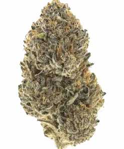 Now N’ Frutti, egzotik meyve aromaları ve dengeli etkileriyle öne çıkan bir hibrit türdür. Mutluluk ve yaratıcılık sunan bu türü keşfedin.