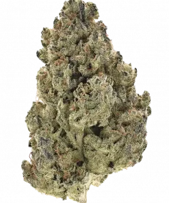 Now N’ Melon, tatlı kavun aroması ve rahatlatıcı etkileriyle öne çıkan dengeli bir hibrit türdür. Stres ve kaygı azaltıcı özelliklerini keşfedin.