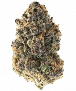 Nut Buster, yoğun muzlu dondurma aromasıyla öne çıkan Indica dominant bir türdür. Stres ve uykusuzluğa karşı potansiyel faydalarını keşfedin. Hemen görüntüleyin.