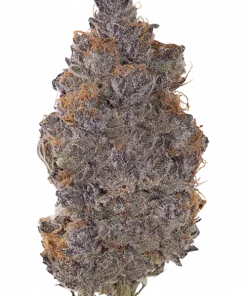 NYC Vapor, yakıtımsı ve narenciye aromalarıyla öne çıkan indica dominant bir türdür. Yüksek THC içeriğiyle dikkat çeken bu türü keşfedin ve etkilerini görüntüleyin.