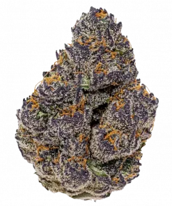 Oakland Runtz #25, tatlı meyve aromaları ve yüksek THC içeriğiyle öne çıkan Indica dominant bir türdür. Yatıştırıcı etkilerini keşfetmek için hemen görüntüleyin.