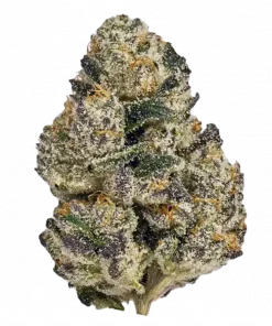 Obama Runtz, kiraz aromalı ve yüksek THC içeriğiyle bilinen Indica baskın bir türdür. Derin sohbetlere hazır olun! Genetik yapısını keşfedin ve etkilerini görüntüleyin.