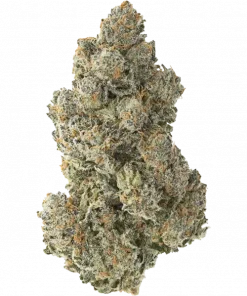 OG Chem, sert amonyak aroması ve yüksek THC içeriğiyle bilinen Sativa baskın bir türdür. Chemdawg ve OG Kush genetiğini keşfedin ve etkilerini görüntüleyin.