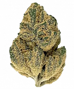 OG Cookies, limon ve nane aromalı, dengeli genetiğe sahip bir hibrit türdür. Stres ve ağrı için ideal. Bu eşsiz türü keşfedin.