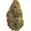 OG Kush, benzersiz toprak ve çam aromasıyla öne çıkan Indica dominant bir türdür. Yüksek THC içeriğiyle rahatlatıcı etkilerini keşfedin ve hemen görüntüleyin.