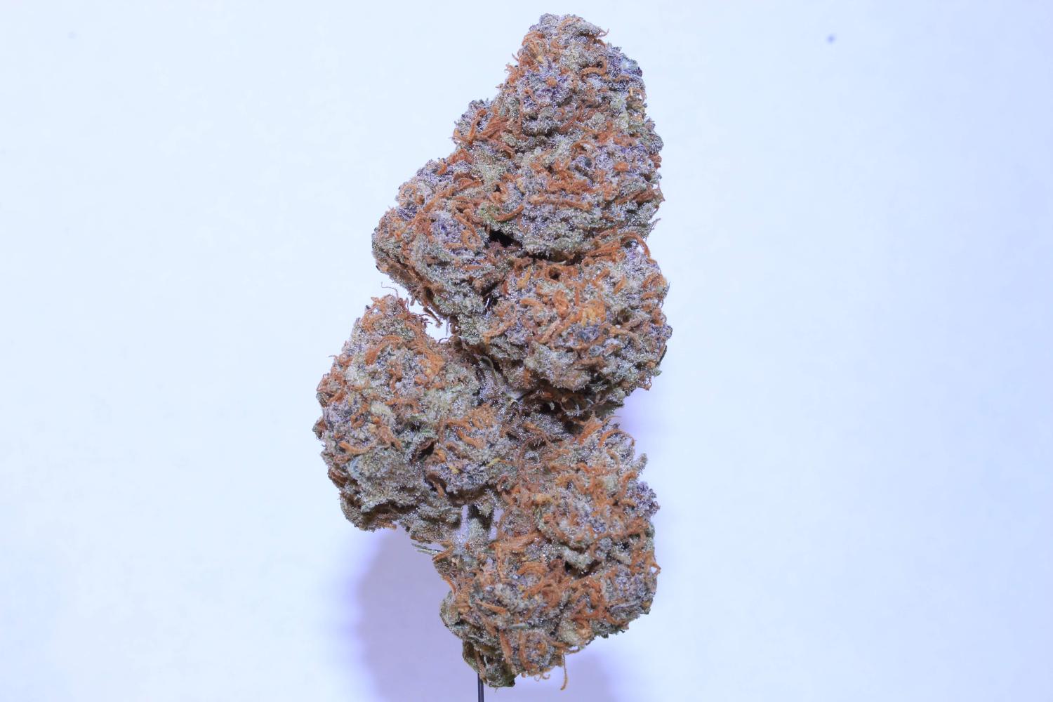 OG Kush Auto Fem Esrar Tohumu (Fast Buds)