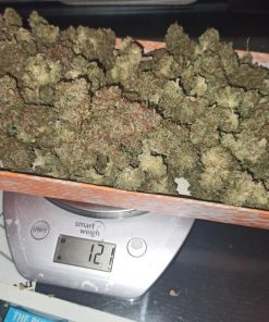 OG Kush Auto Fem Esrar Tohumu (Fast Buds)