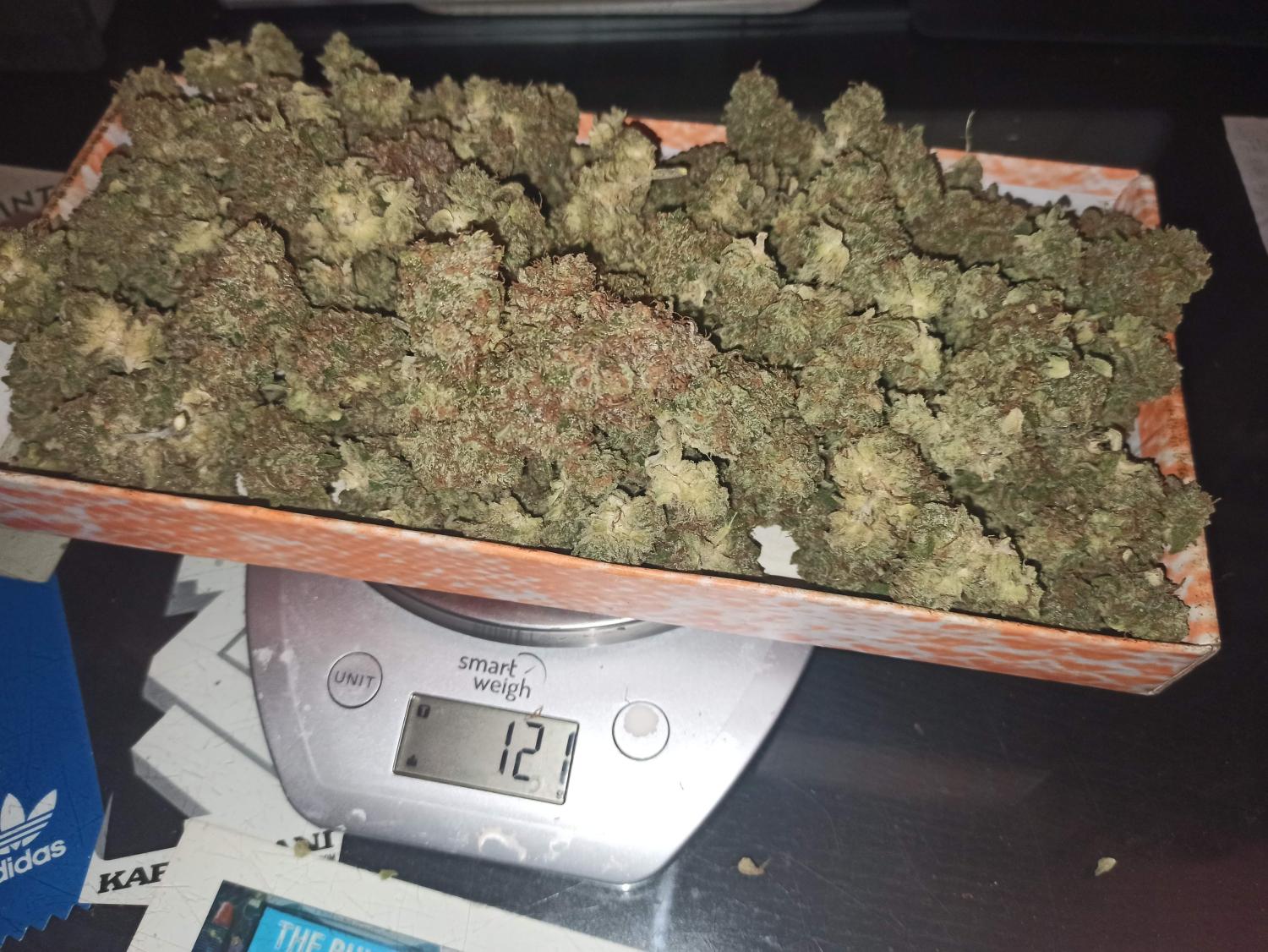 OG Kush Auto Fem Esrar Tohumu (Fast Buds)