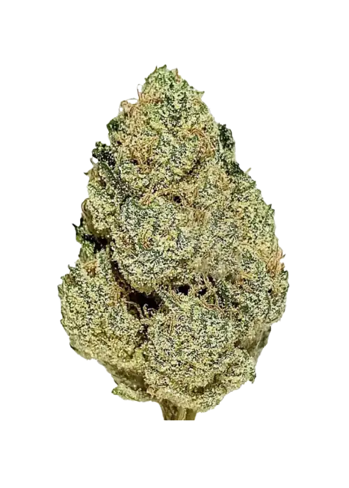 OGKB, vanilya aroması ve yüksek THC içeriğiyle öne çıkan Indica baskın bir türdür. Rahatlatıcı etkileriyle bilinen bu özel türü keşfedin.