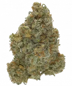 Omakase, kiraz ve yaban mersini aromalı, dengeli bir hibrit türdür. Yüksek THC içeriğiyle öne çıkar. Bu eşsiz türün genetik yapısını keşfedin.