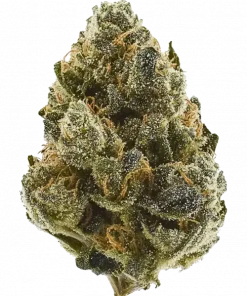 OMG, fındıksı aroması ve yüksek THC içeriğiyle öne çıkan indica baskın bir türdür. Rahatlatıcı etkileriyle bilinen bu türü keşfedin.