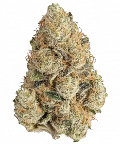 One Night Stan’d, narenciye ve böğürtlen aromalı, rahatlatıcı bir Indica hibritidir. THC ile uykusuzluğa iyi gelir. Bu eşsiz türü keşfedin.