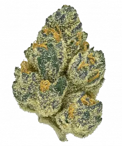 Oompa Loompa OG, üzüm aroması ve THC ile öne çıkan Indica dominant bir türdür. Derin rahatlama ve potansiyel faydalarını keşfedin.