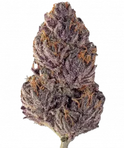 Opal, yakıtımsı ve çiçeksi aromalarıyla öne çıkan indica ağırlıklı bir türdür. 'e varan THC seviyesiyle dengeleyici etkilere sahiptir. Opal'i keşfedin.