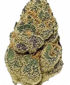 Orange 43, turunçgil aromaları ve rahatlatıcı etkileriyle bilinen Indica baskın bir türdür. Yüksek THC içeriğiyle öne çıkar. Genetik yapısını keşfedin.