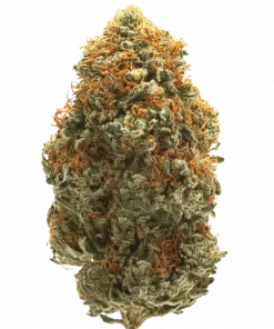 Orange Cake, kremsi narenciye aroması ve dengeli genetiğiyle öne çıkan hibrit bir türdür. Derin rahatlama ve mutluluk için ideal. Özelliklerini keşfedin.