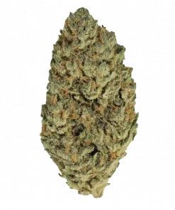 Orange Cookies, tatlı portakal aroması ve yüksek THC içeriğiyle öne çıkan Indica dominant bir türdür. Benzersiz genetik yapısını ve rahatlatıcı etkilerini keşfedin.