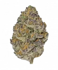 Orange Cream, kremsi portakal aroması ve rahatlatıcı etkisiyle bilinen indica dominant bir türdür. Yüksek THC içeriğiyle öne çıkar. Özelliklerini keşfedin.