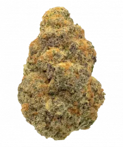 Orange Daiquiri, keskin turunçgil aroması ve yüksek THC içeriğiyle öne çıkan Sativa baskın bir türdür. Yaratıcılığı artıran etkilerini keşfedin ve genetik yapısını görüntüleyin.