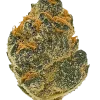 Orange Kush, belirgin portakal aroması ve dengeli etkisiyle öne çıkan hibrit bir türdür. Yüksek verimiyle dikkat çeker. Tüm özelliklerini keşfedin.