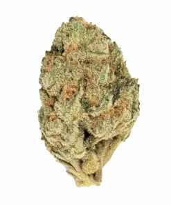 Orange Push Pop, tatlı portakal aroması ve rahatlatıcı etkileriyle bilinen indica baskın bir türdür. Eşsiz lezzetini ve faydalarını keşfedin.