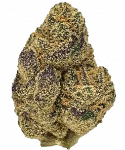 Orange Runtz, ferahlatıcı narenciye aroması ve yüksek THC içeriğiyle bilinen Sativa baskın bir türdür. Enerjik etkilerini keşfedin ve genetik yapısını görüntüleyin.